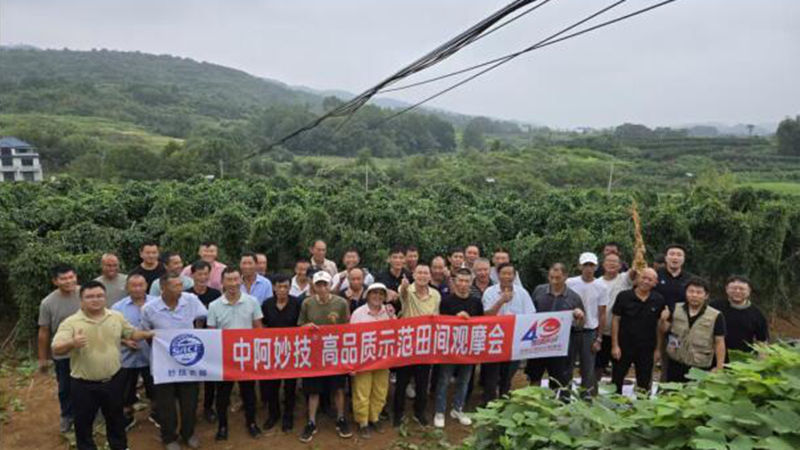 江西惠多利舉辦撒可富山藥觀摩會